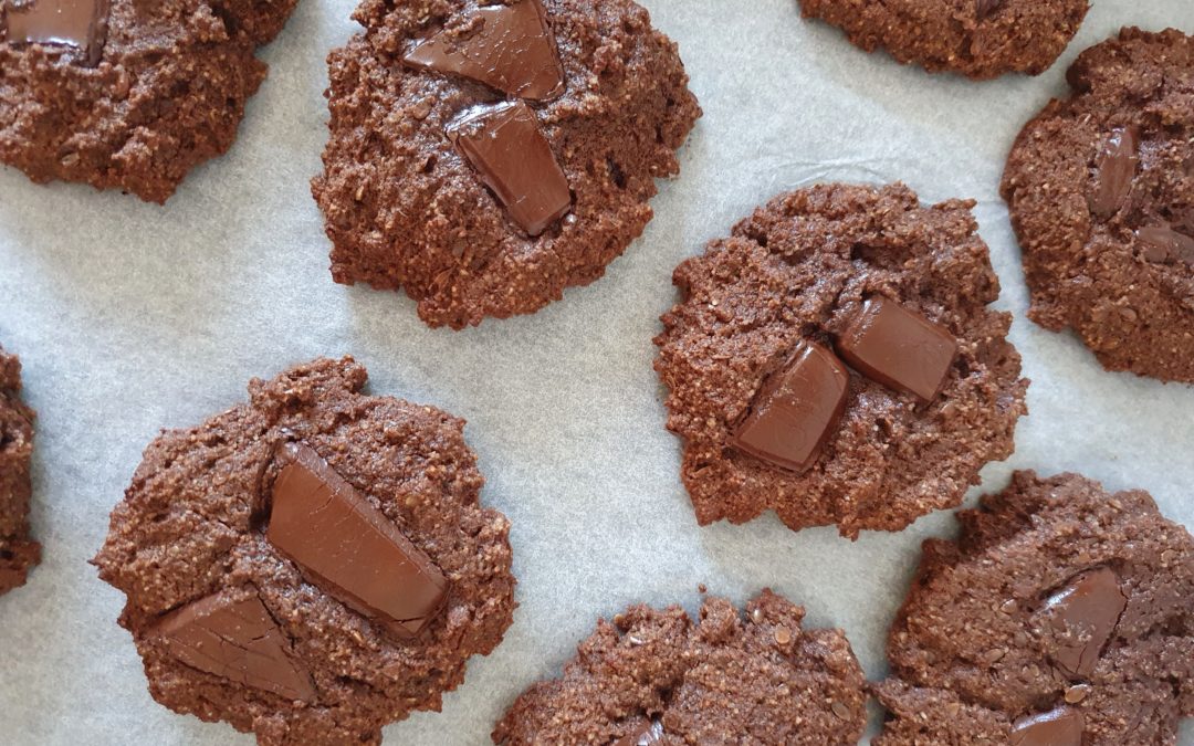 Double Chocolate Paleo Lactation Cookies